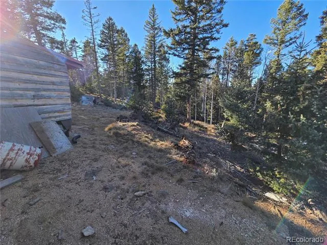 1434 Blue Mesa Drive Divide, CO 80814