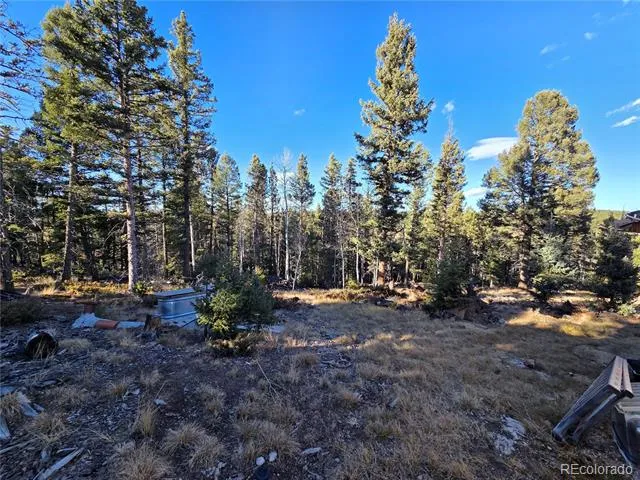 1434 Blue Mesa Drive Divide, CO 80814