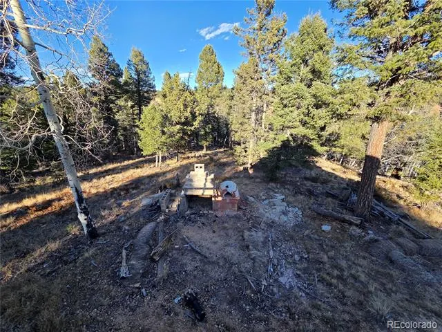 1434 Blue Mesa Drive Divide, CO 80814