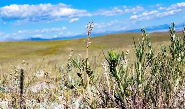1804 Santee Trail Guffey, CO 80820