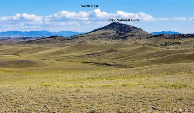 1804 Santee Trail Guffey, CO 80820