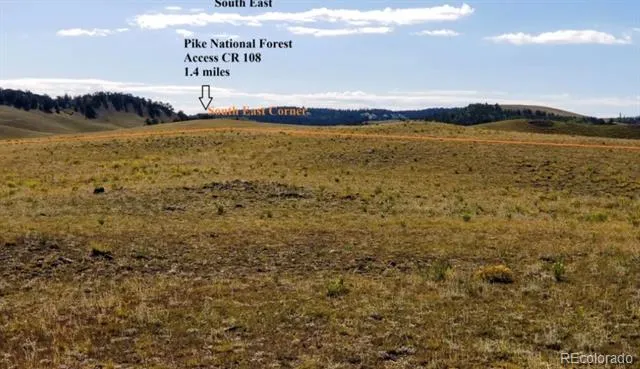 1804 Santee Trail Guffey, CO 80820