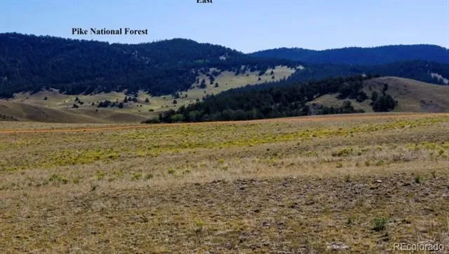 1804 Santee Trail Guffey, CO 80820