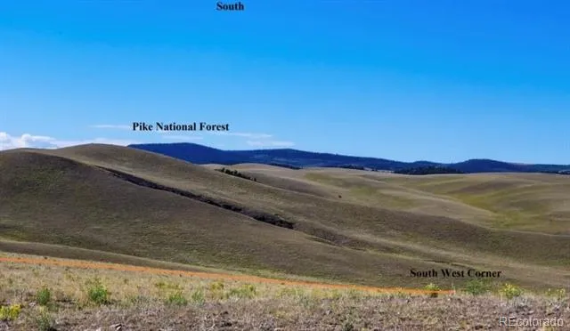 1804 Santee Trail Guffey, CO 80820