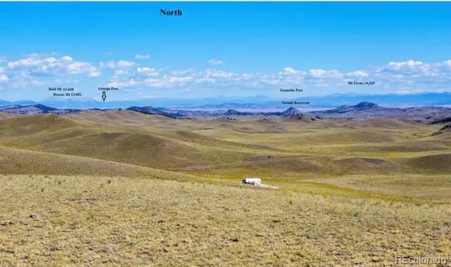 1804 Santee Trail Guffey, CO 80820