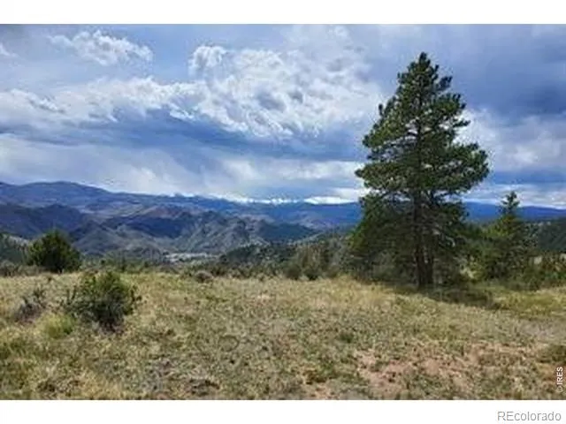 94 Culebra Peak Court Livermore, CO 80536