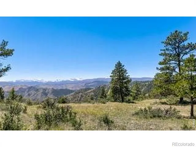 94 Culebra Peak Court Livermore, CO 80536