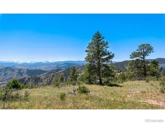 94 Culebra Peak Court Livermore, CO 80536