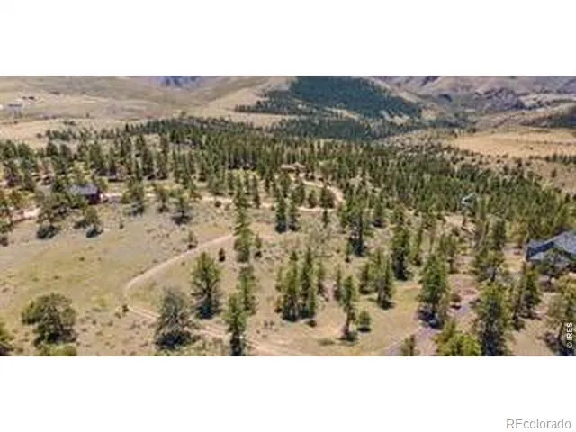 94 Culebra Peak Court Livermore, CO 80536