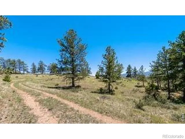 94 Culebra Peak Court Livermore, CO 80536