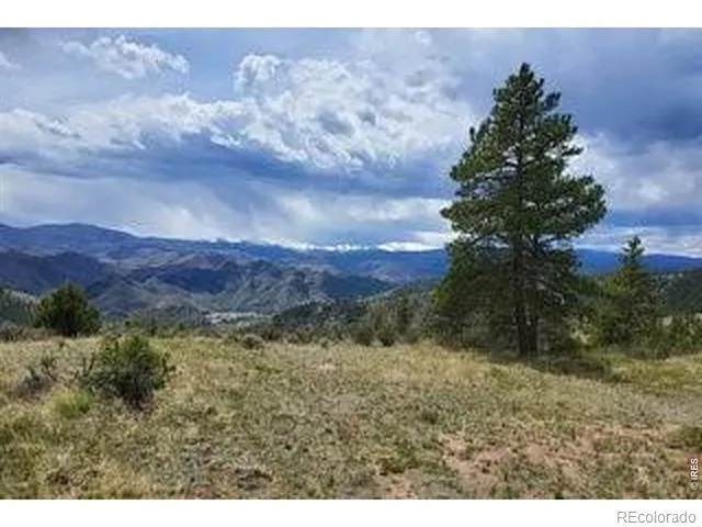 94 Culebra Peak Court Livermore, CO 80536
