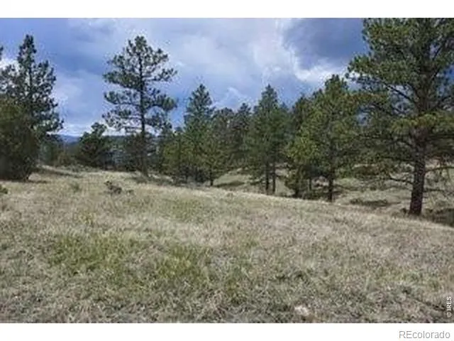 94 Culebra Peak Court Livermore, CO 80536