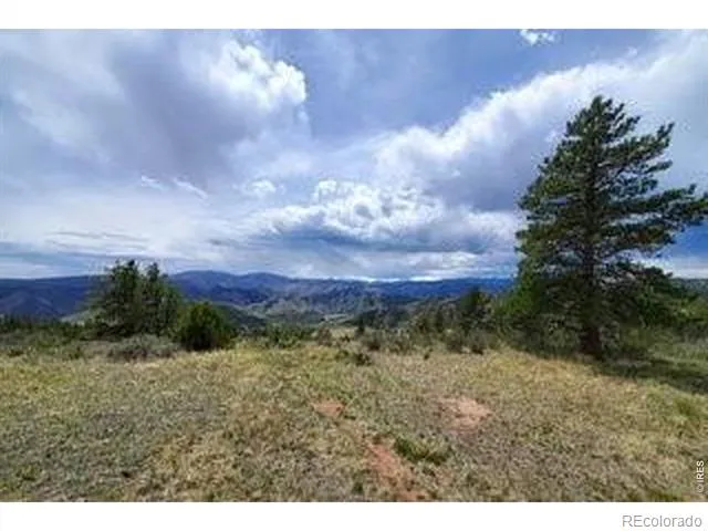 94 Culebra Peak Court Livermore, CO 80536