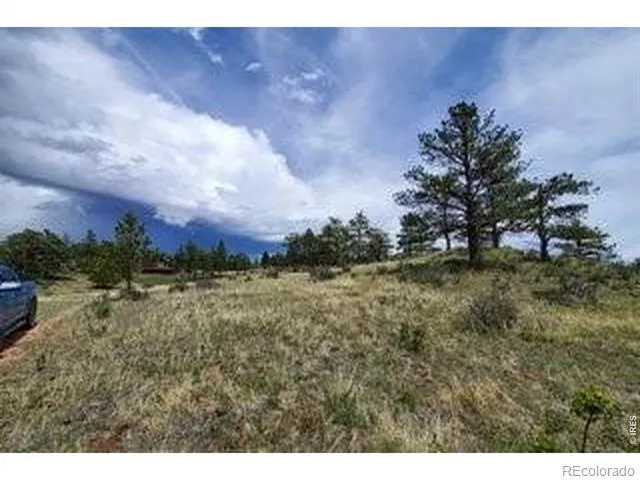 94 Culebra Peak Court Livermore, CO 80536