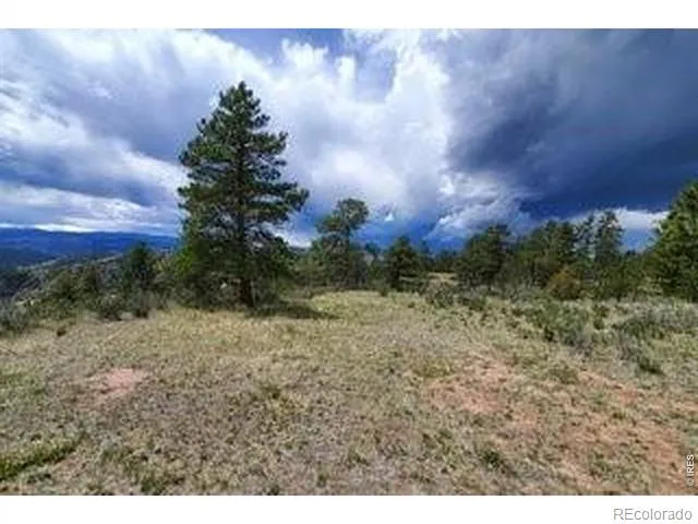 94 Culebra Peak Court Livermore, CO 80536