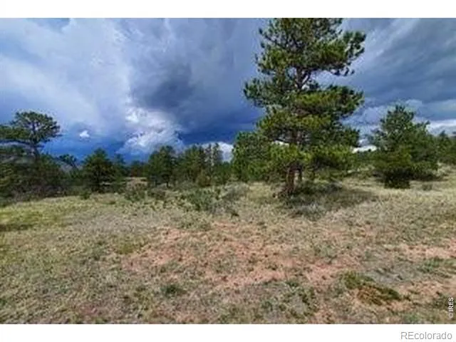 94 Culebra Peak Court Livermore, CO 80536