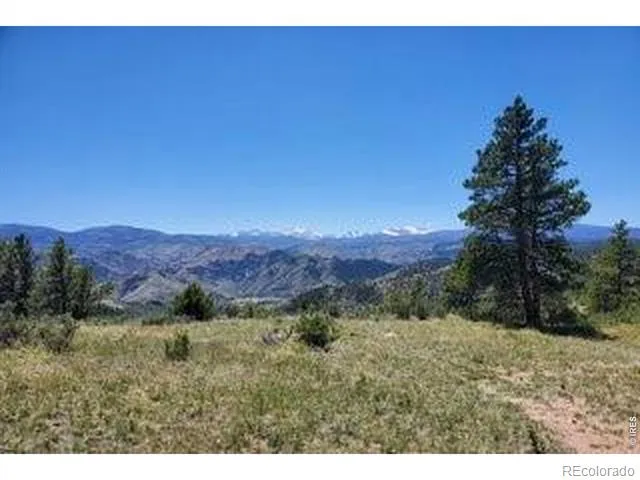 94 Culebra Peak Court Livermore, CO 80536