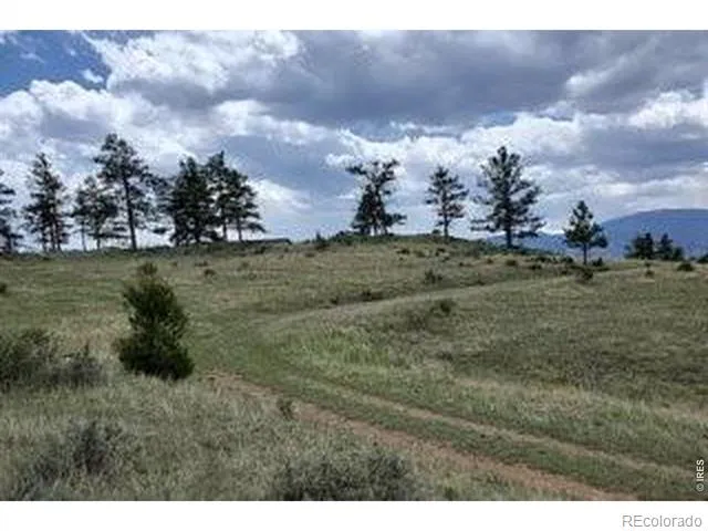 94 Culebra Peak Court Livermore, CO 80536