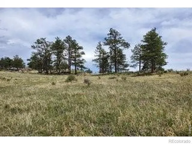 94 Culebra Peak Court Livermore, CO 80536