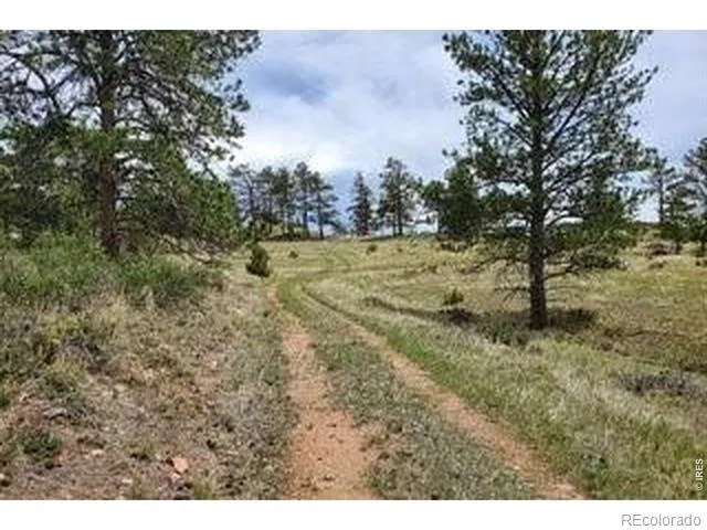 94 Culebra Peak Court Livermore, CO 80536