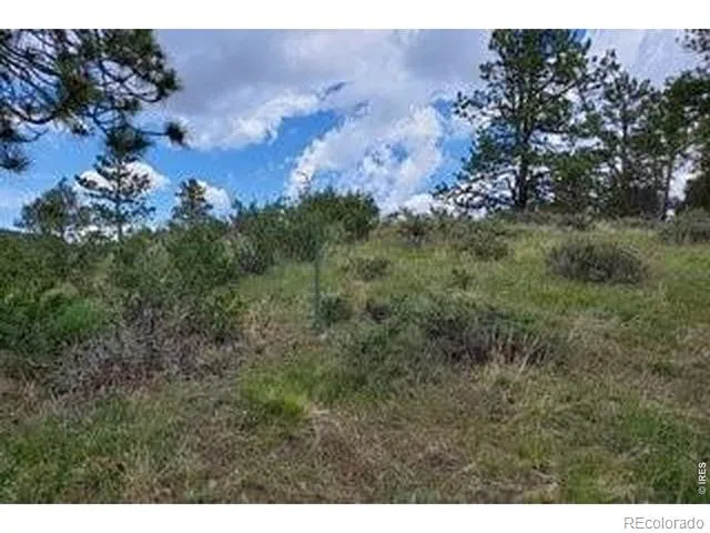 94 Culebra Peak Court Livermore, CO 80536