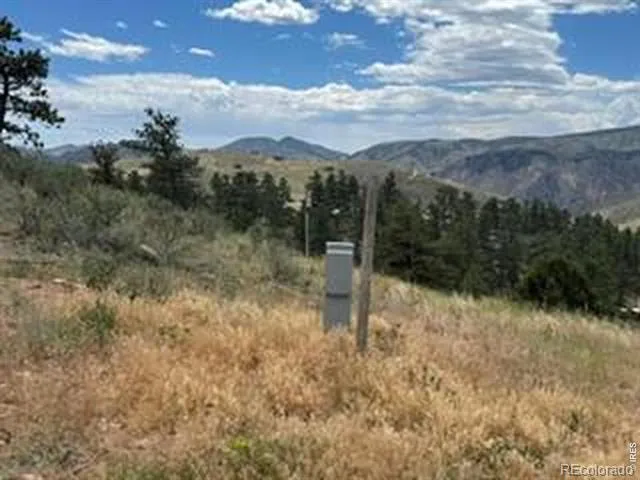 94 Culebra Peak Court Livermore, CO 80536