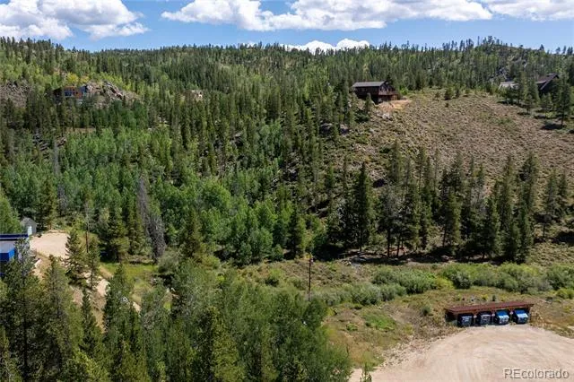 113 Elk Park Trail Tabernash, CO 80478