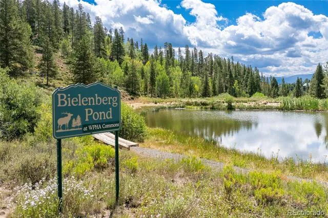 113 Elk Park Trail Tabernash, CO 80478