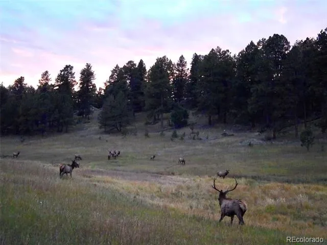 12434 S US Hwy 285 Conifer, CO 80433
