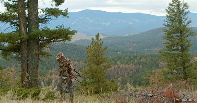 12434 S US Hwy 285 Conifer, CO 80433