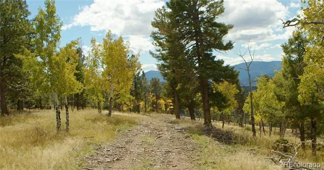 12434 S US Hwy 285 Conifer, CO 80433