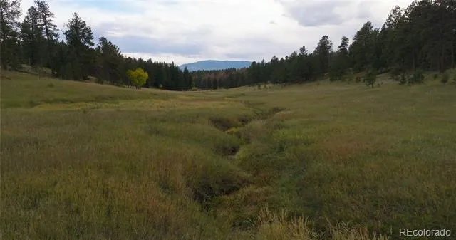 12434 S US Hwy 285 Conifer, CO 80433