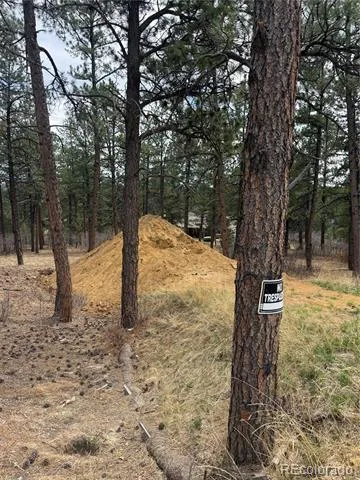 636 Copper Fox Place Larkspur, CO 80118