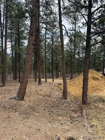 636 Copper Fox Place Larkspur, CO 80118
