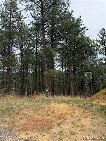 636 Copper Fox Place Larkspur, CO 80118