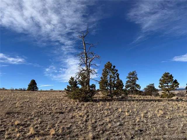 10620 Routt Road Lake George, CO 80449