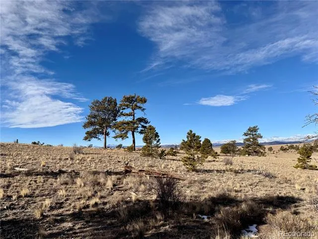 10620 Routt Road Lake George, CO 80449