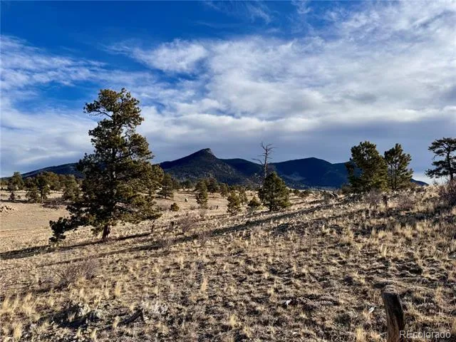 10620 Routt Road Lake George, CO 80449