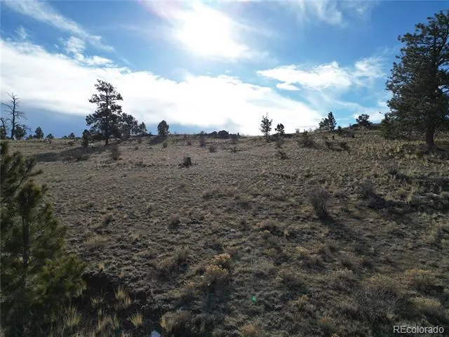 10620 Routt Road Lake George, CO 80449