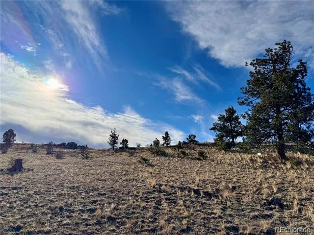 10620 Routt Road Lake George, CO 80449