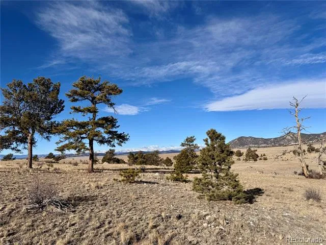 10620 Routt Road Lake George, CO 80449