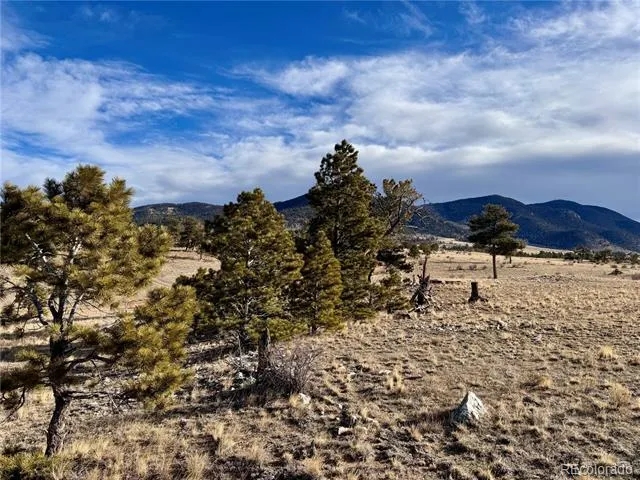10620 Routt Road Lake George, CO 80449