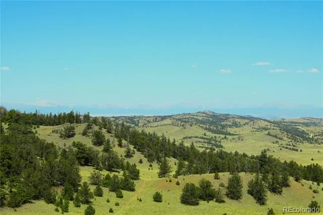Address Not Shown Guffey, CO 80820