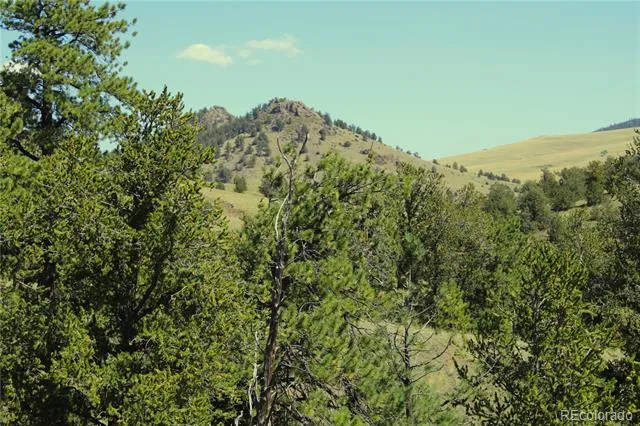 Address Not Shown Guffey, CO 80820