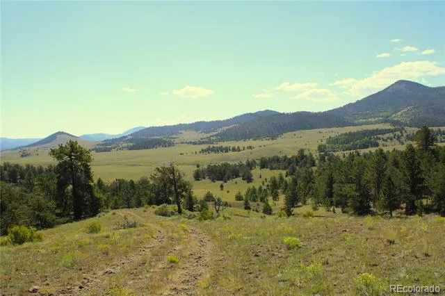 Address Not Shown Guffey, CO 80820