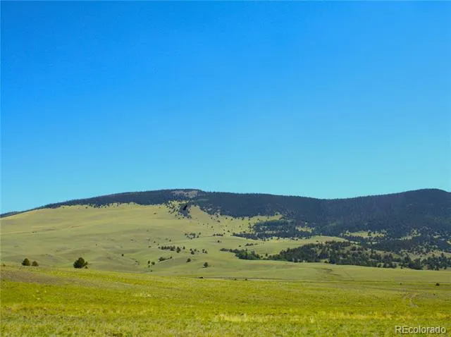 Address Not Shown Guffey, CO 80820