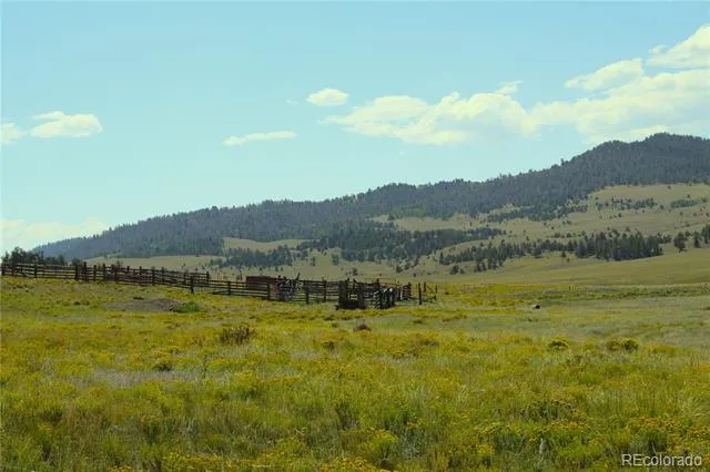 Address Not Shown Guffey, CO 80820