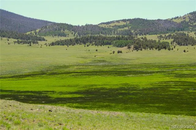 Address Not Shown Guffey, CO 80820