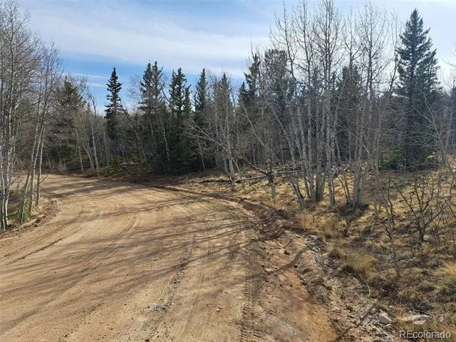 93 Wyandot Way Como, CO 80432