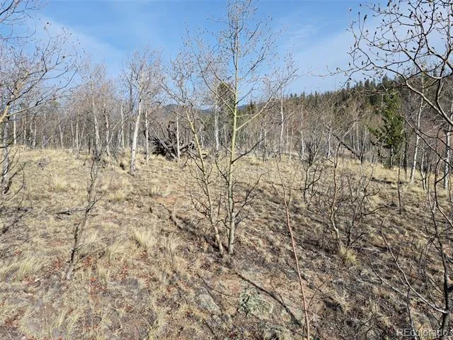 93 Wyandot Way Como, CO 80432